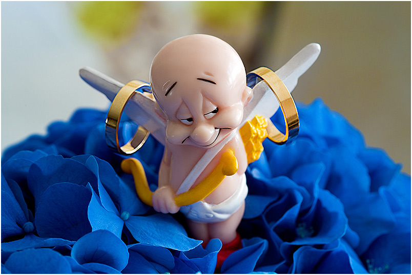 Sesje ślubne, reportaz | Studio Fotograficzne Szczecin | MS Studio Maciej Szymula