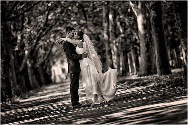 Sesje ślubne, plener | Studio Fotograficzne Szczecin | MS Studio Maciej Szymula Sesje ślubne, plener | Studio Fotograficzne Szczecin | MS Studio Maciej Szymula
