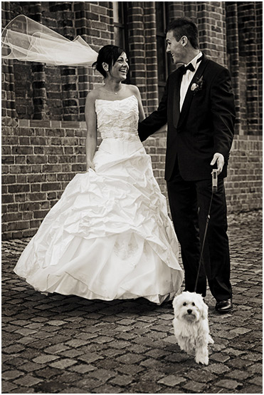 Sesje ślubne, plener | Studio Fotograficzne Szczecin | MS Studio Maciej Szymula Sesje ślubne, plener | Studio Fotograficzne Szczecin | MS Studio Maciej Szymula