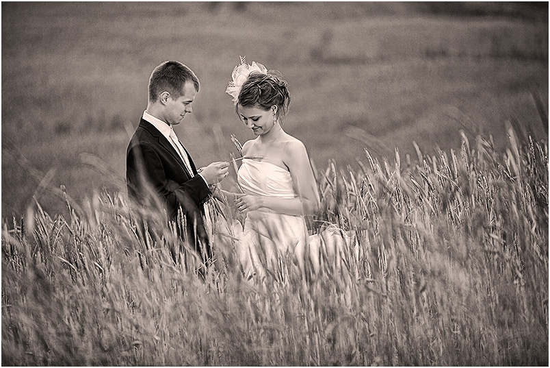 Sesje ślubne, plener | Studio Fotograficzne Szczecin | MS Studio Maciej Szymula Sesje ślubne, plener | Studio Fotograficzne Szczecin | MS Studio Maciej Szymula